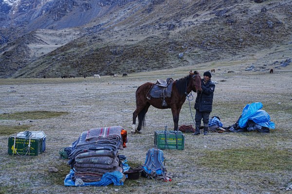 DSC04512.jpeg DSC04512.jpeg