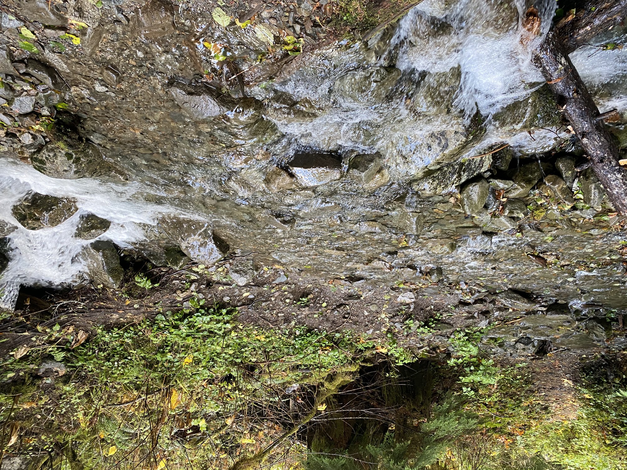 Goat Lake Crossing.jpg