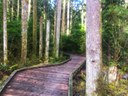 Grand Ridge Park (Snoqualmie)