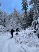 snowshoeing.jpg