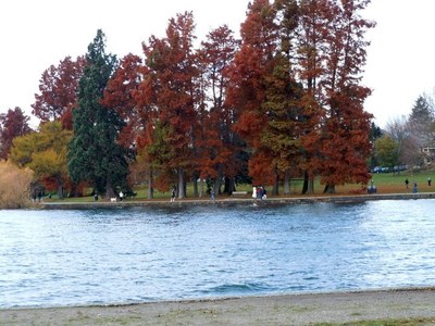 Green Lake (Seattle)