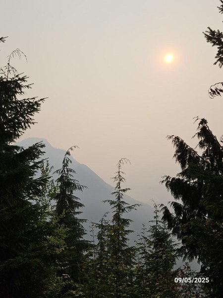 20250905_090650 (Medium).jpg