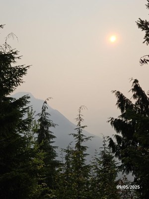 20250905_090650 (Medium).jpg