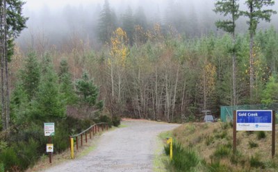 Green Mountain: Gold Creek Trail