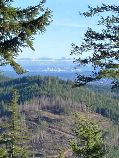 GREEN MTN SUMMIT2.JPG