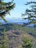 GREEN MTN SUMMIT2.JPG