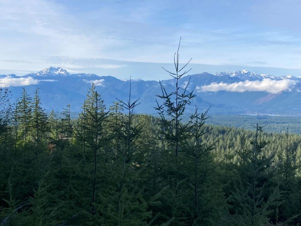 GREEN MTN SUMMIT3.JPG