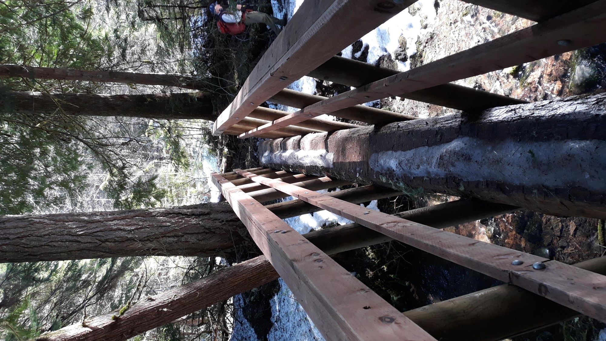 Greenwater bridge.jpg