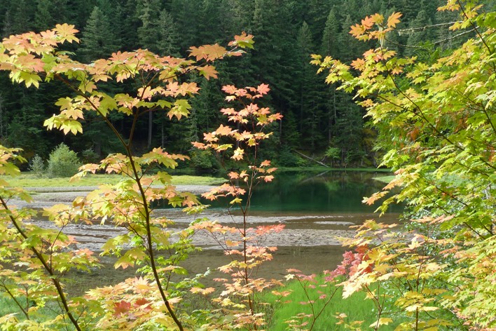Greenwater Lakes and Vine Maple