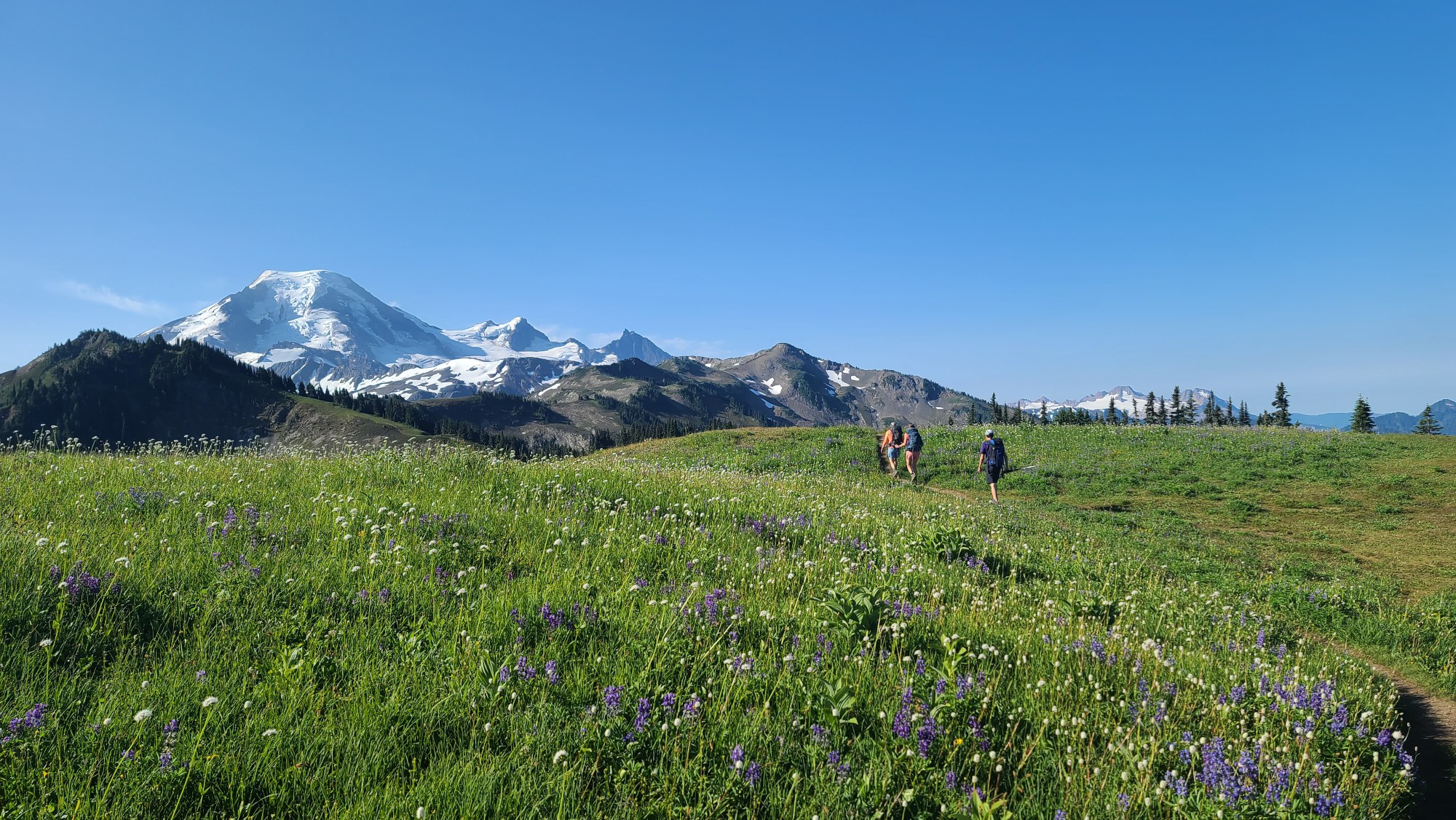 51340513835_cd0de7ee75_o (1).jpg