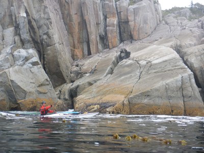 Hakai Protected Area