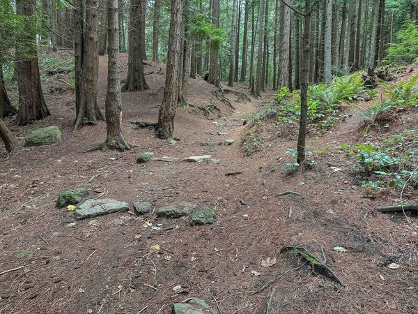 Excellent drainage untitled-1.jpg