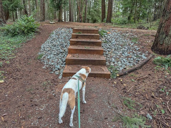 South Woods stairs are new untitled-5.jpg