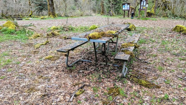 Campsite after winter storms.jpg
