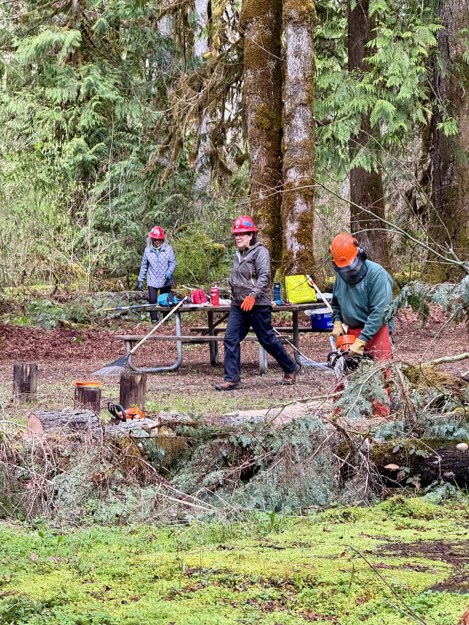 Chainsaw helped in places.jpg