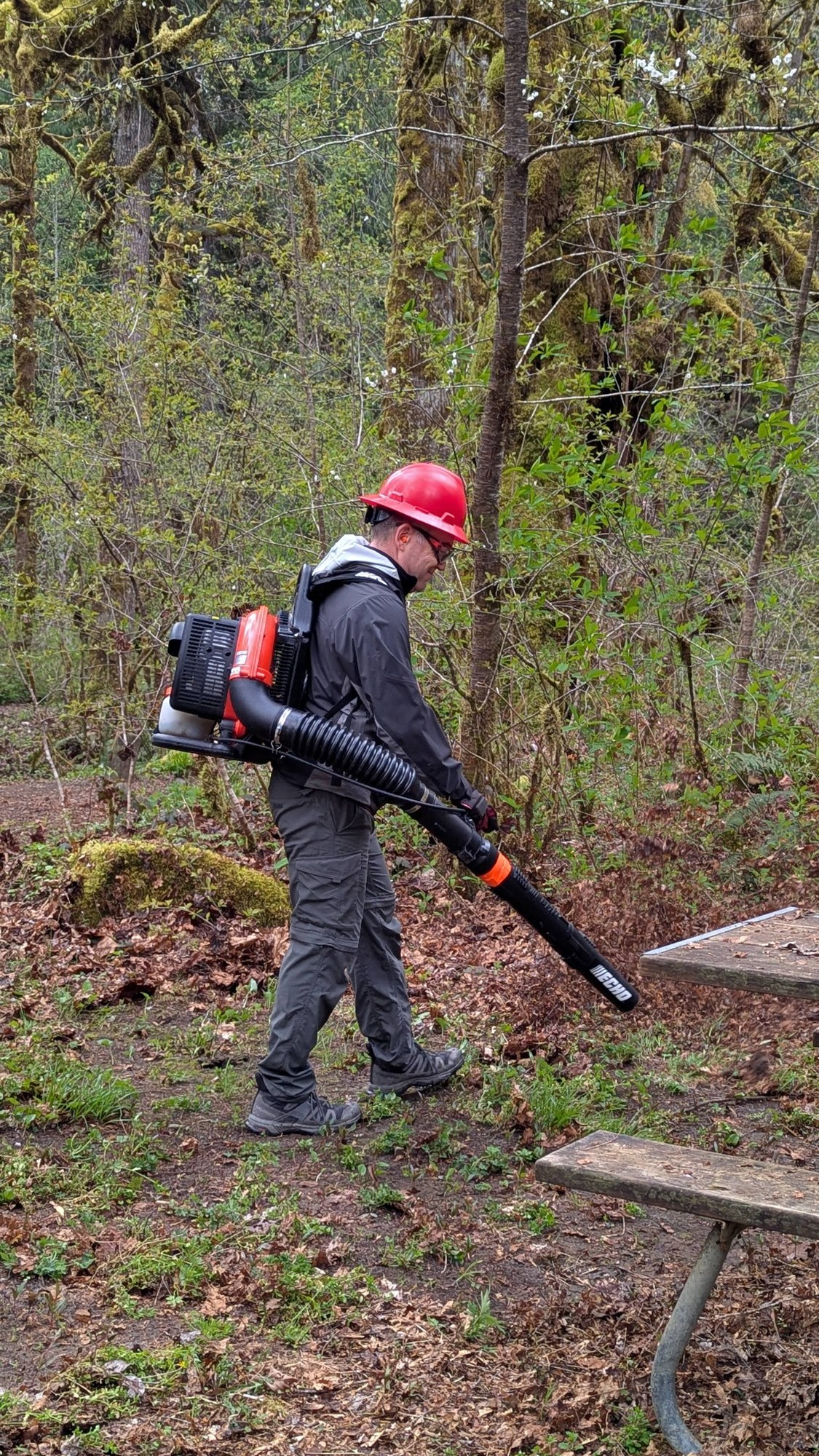 Forest Service leaf blowers helped.jpg