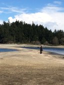 Harstine Island to McMicken Island