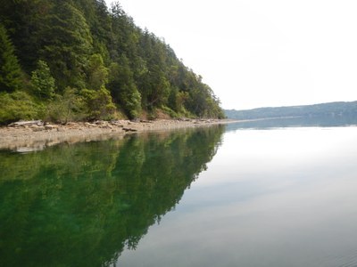 quilcene to boulton.jpeg