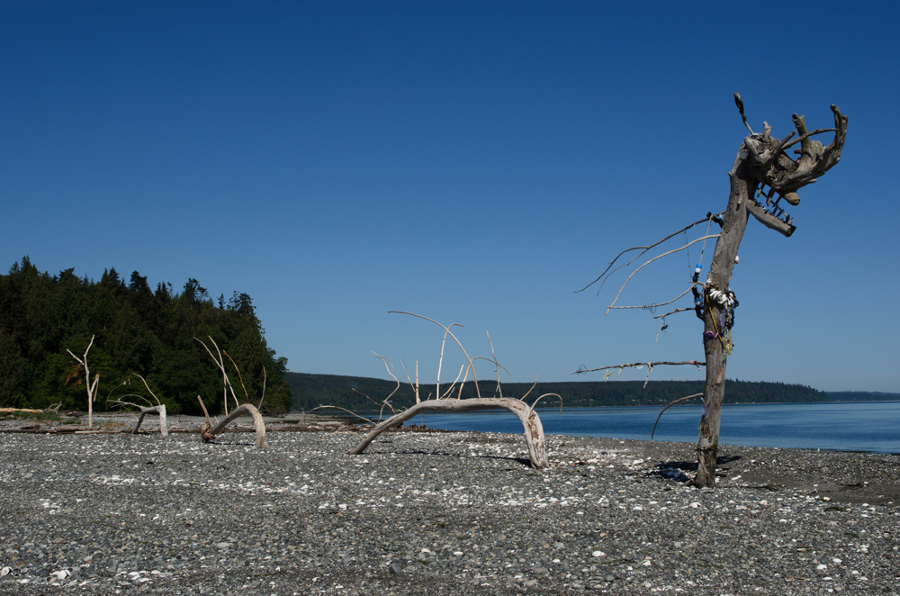 Hood Head — The Mountaineers