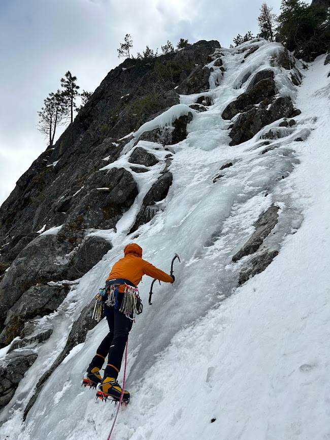 2023Feb22 Hubba Hubba Left P1.jpg