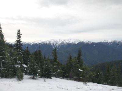 Hurricane Ridge (winter)