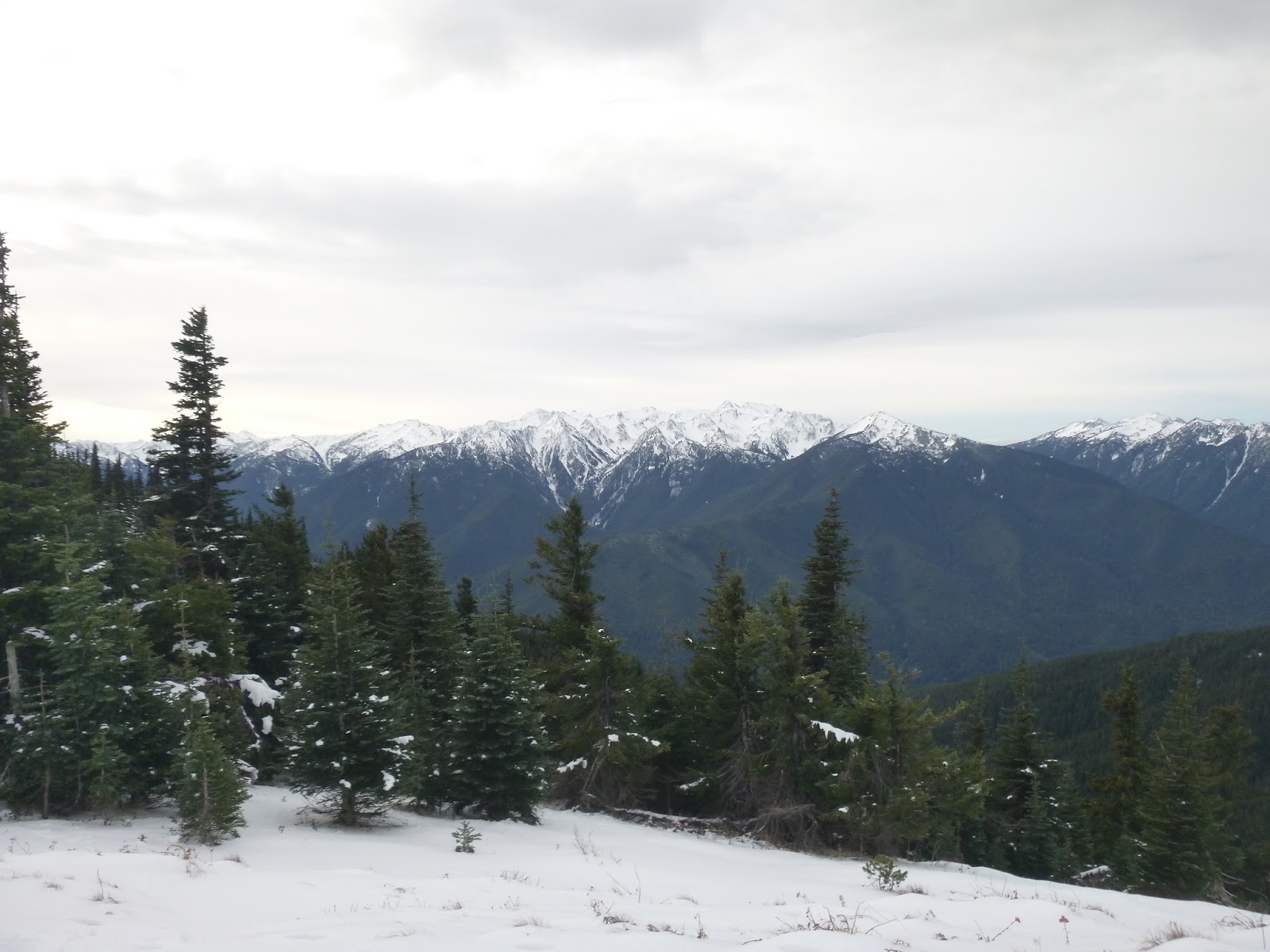 Hurricane Ridge