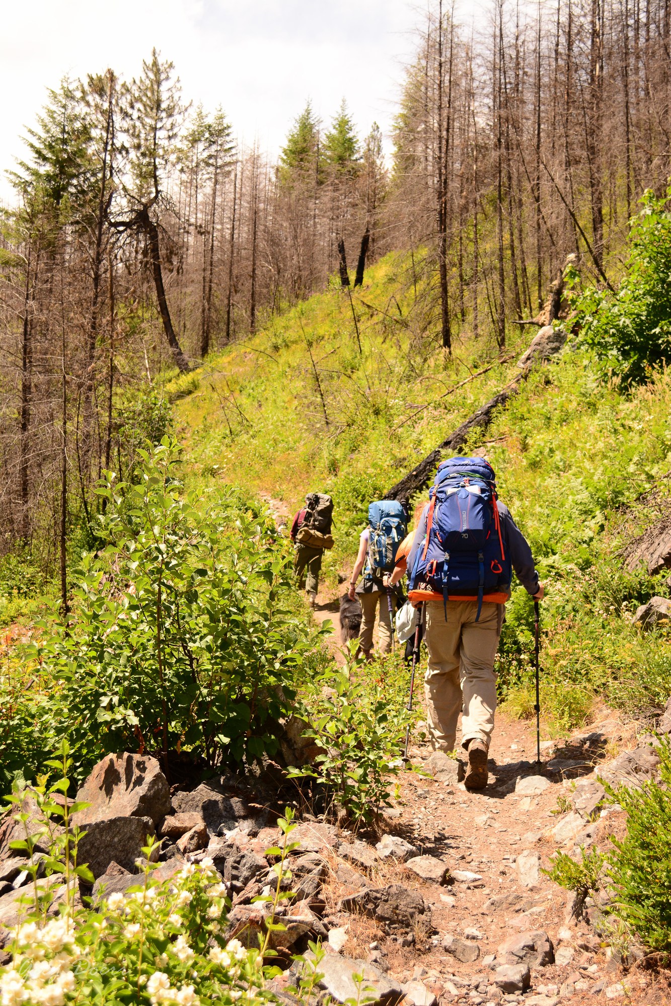 2016-06-18 Ingalls Creek 009.jpg