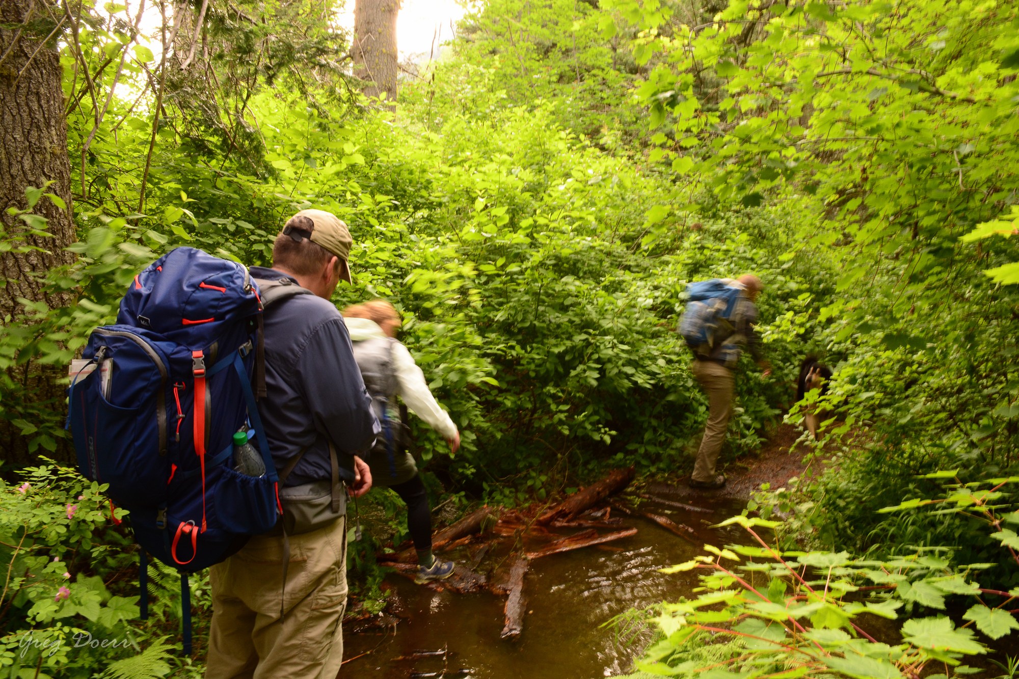 2016-06-18 Ingalls Creek 085.jpg