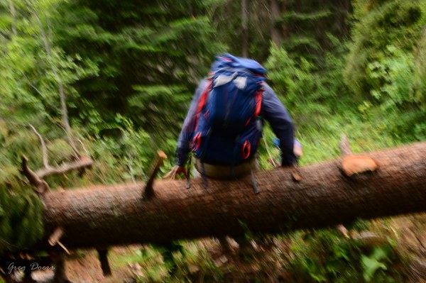 Backpacker Climbing Over Log