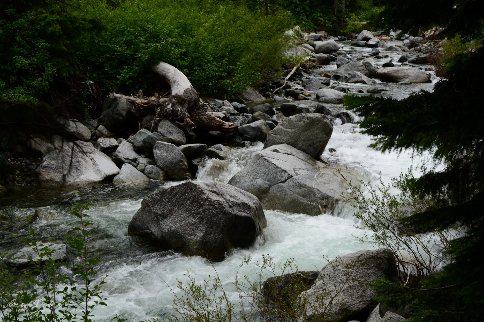 2016-06-18 Ingalls Creek 108.jpg