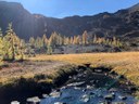 larches and stream.jpg