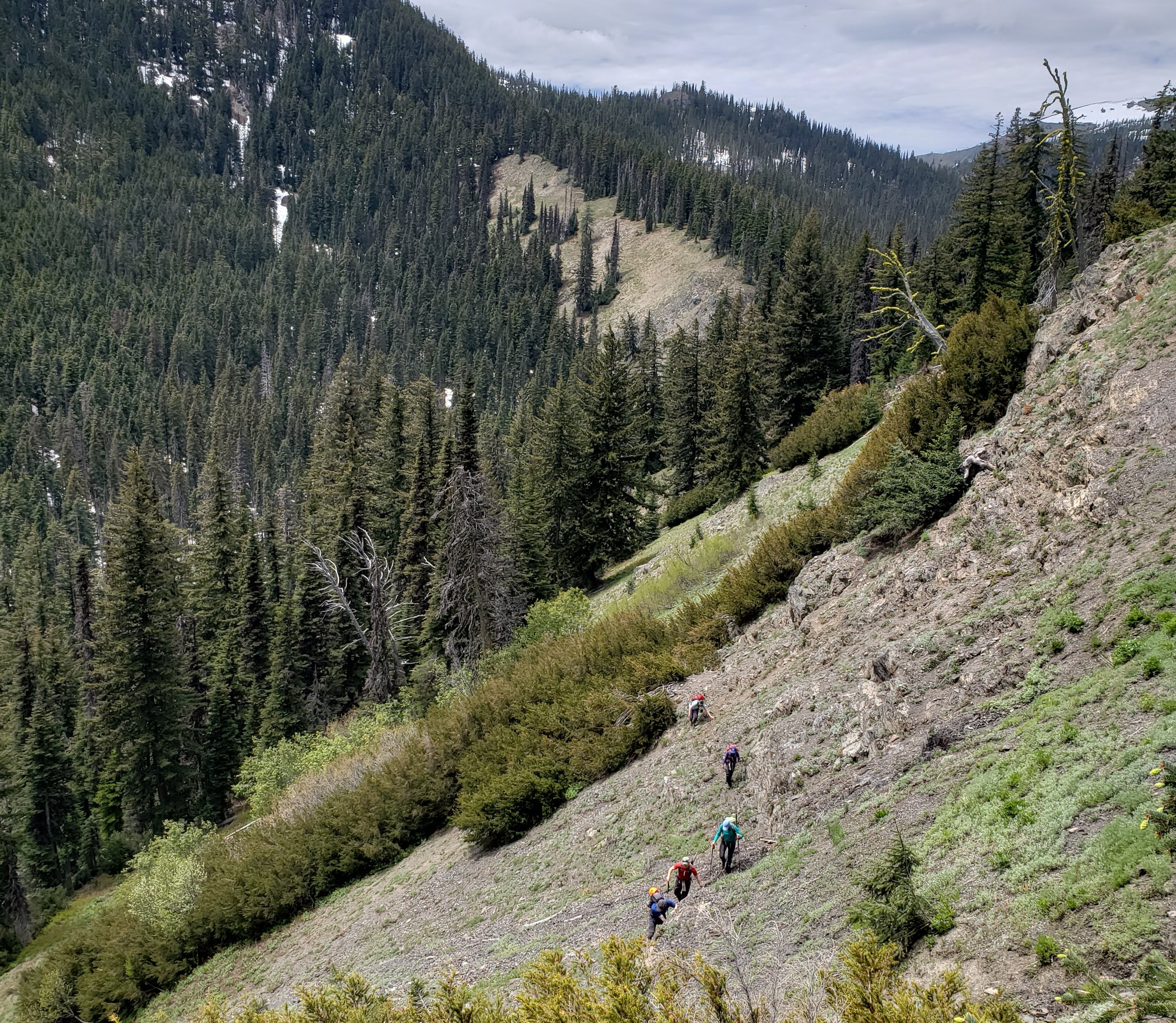 20180602_132706 (2).jpg