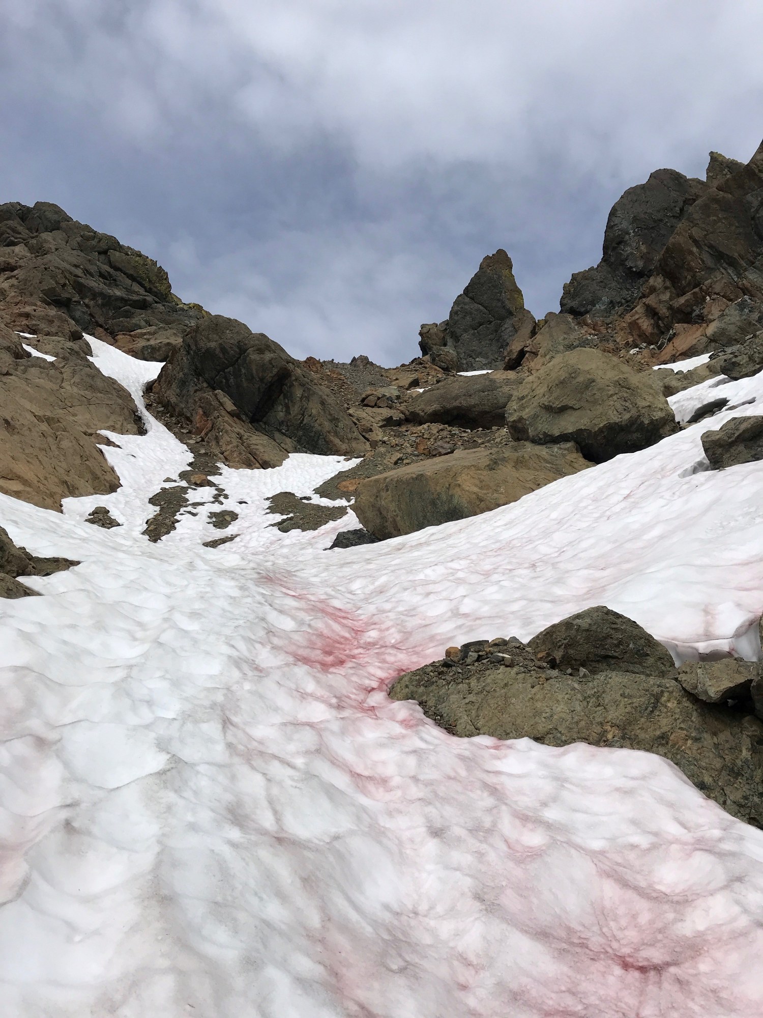 snow up to dog tooth.jpg