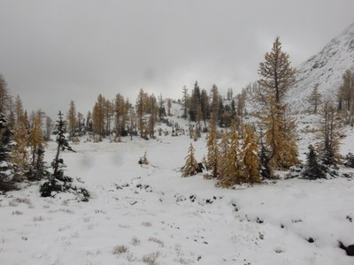 Lake Ingalls 2021 020.JPG