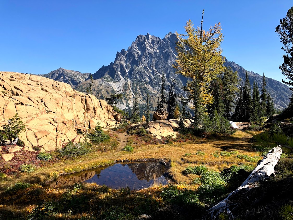 Mt stuart with larch.jpg