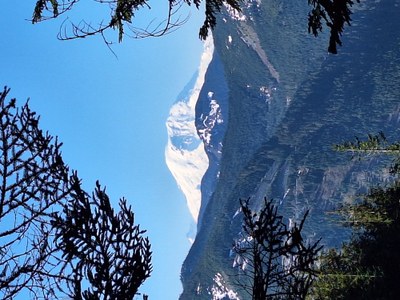 viewRainier.jpg