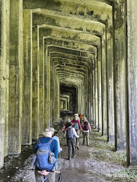 20250612_Group2 (Small).jpg