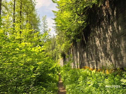 20250612_trail1 (Small).jpg