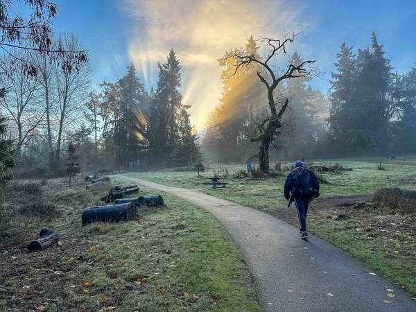 Beautiful sun rays birds-1.jpg