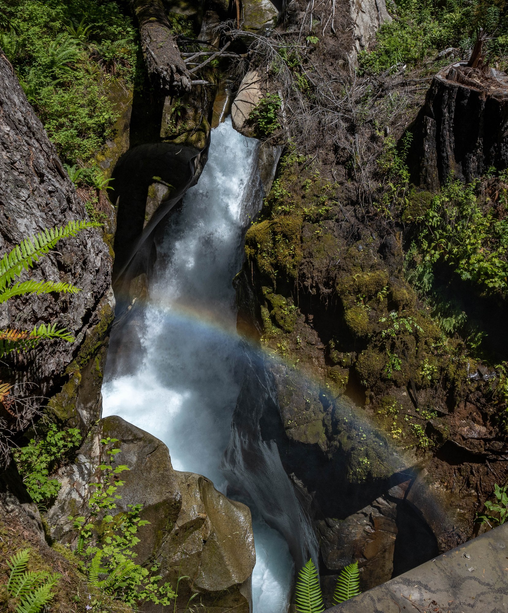 Ladder Creek Falls — The Mountaineers