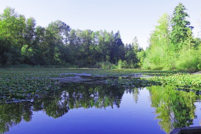 Lake Fenwick via the Rabbit Loop