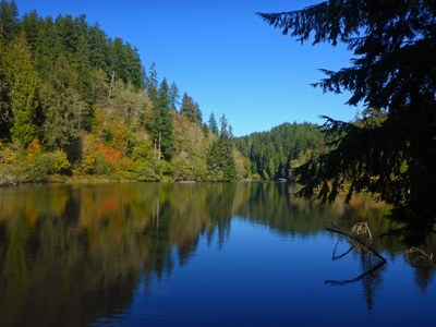 Lake Sylvia State Park/Montesano City Forest