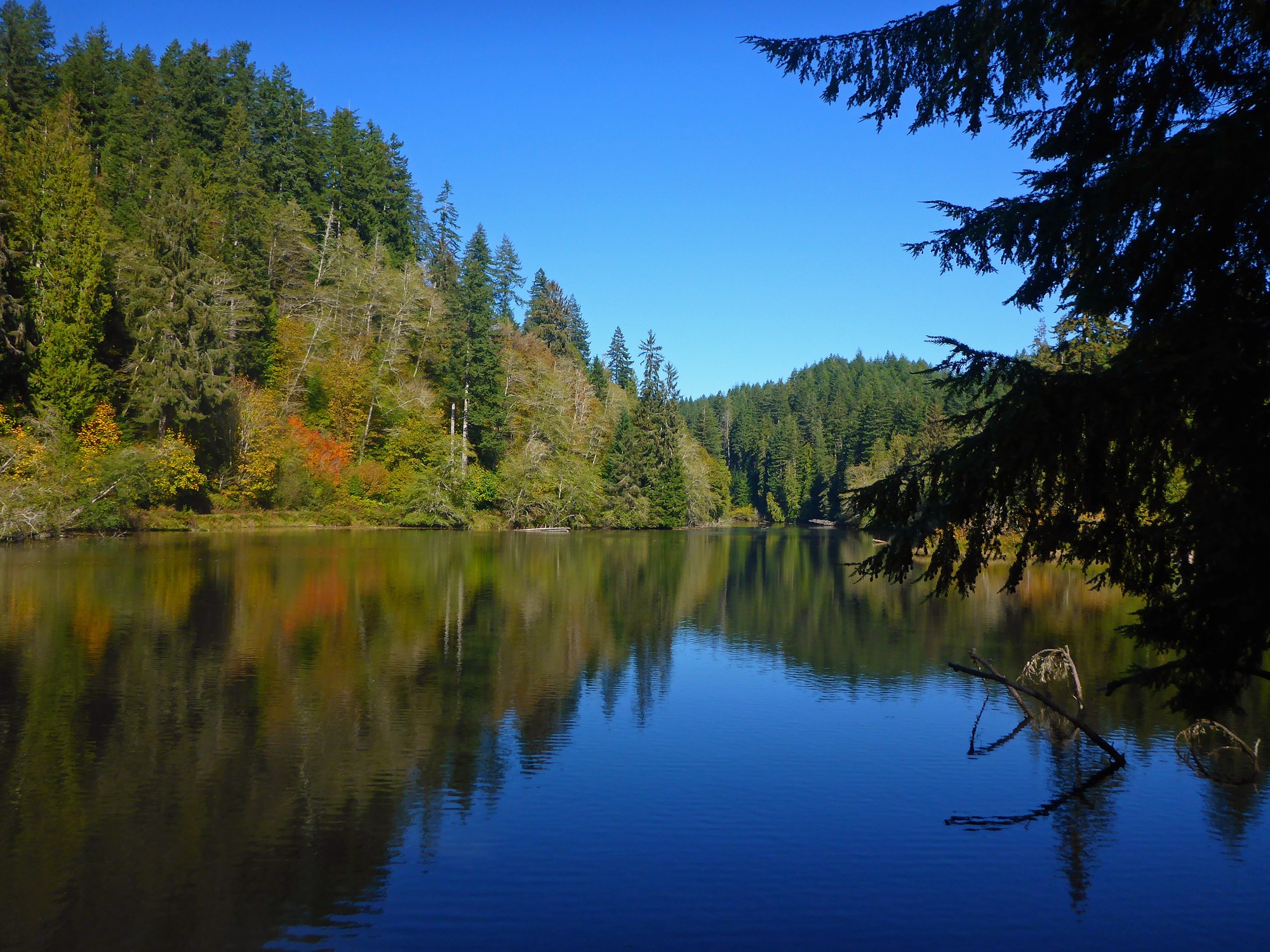 Lake Sylvia State Park/Montesano City Forest — The Mountaineers