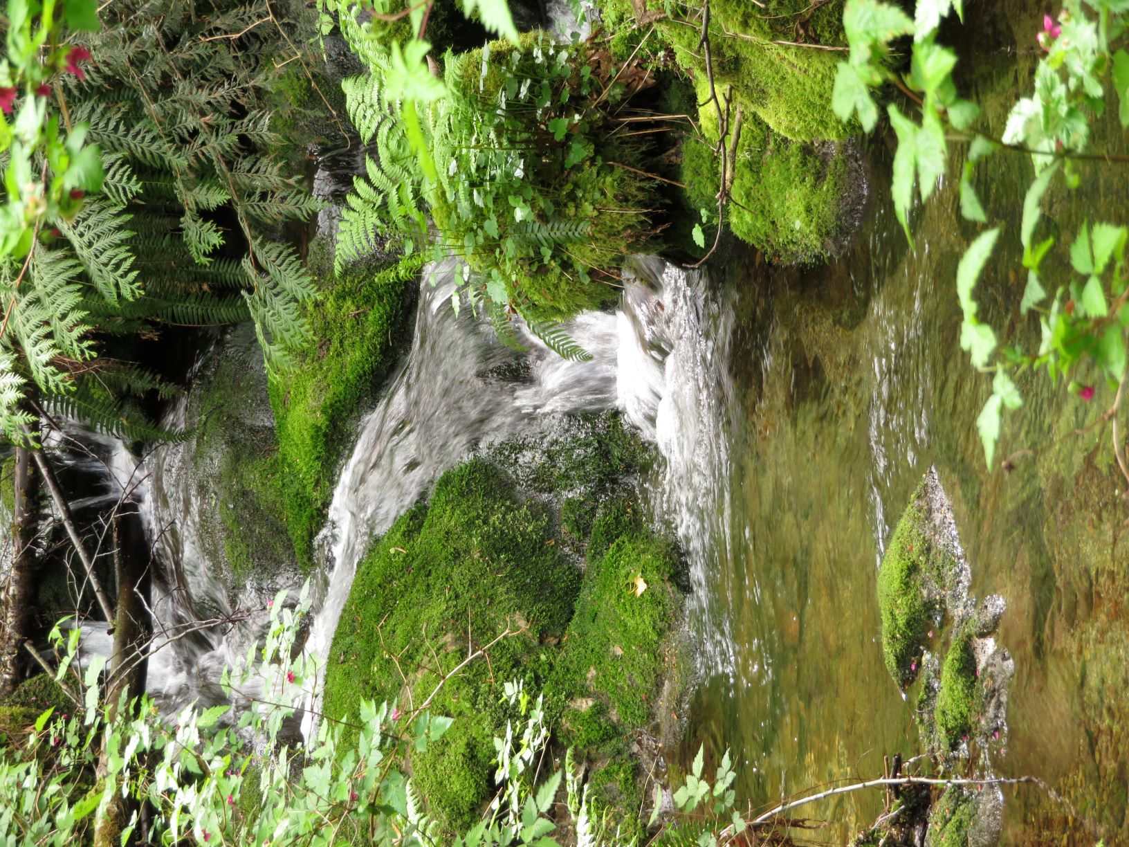 Waterfall Resize - Copy.JPG