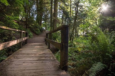 Larrabee State Park Campground & Day Use