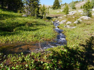 Larch Creek (Pasayten)