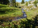 Larch Creek (Pasayten)