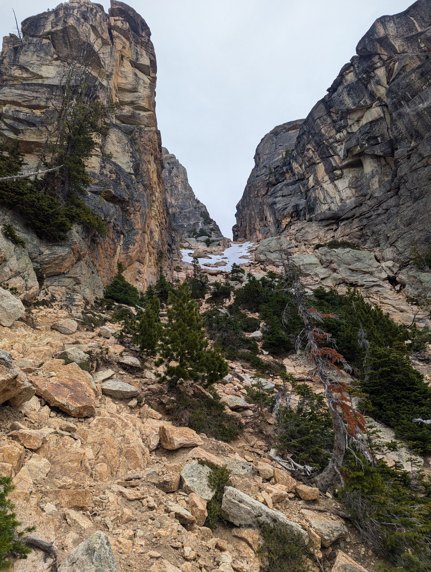 PXL_20240622_134920589 (1).jpg