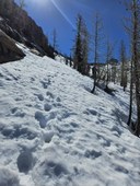 20240608_100845 vertical.jpeg