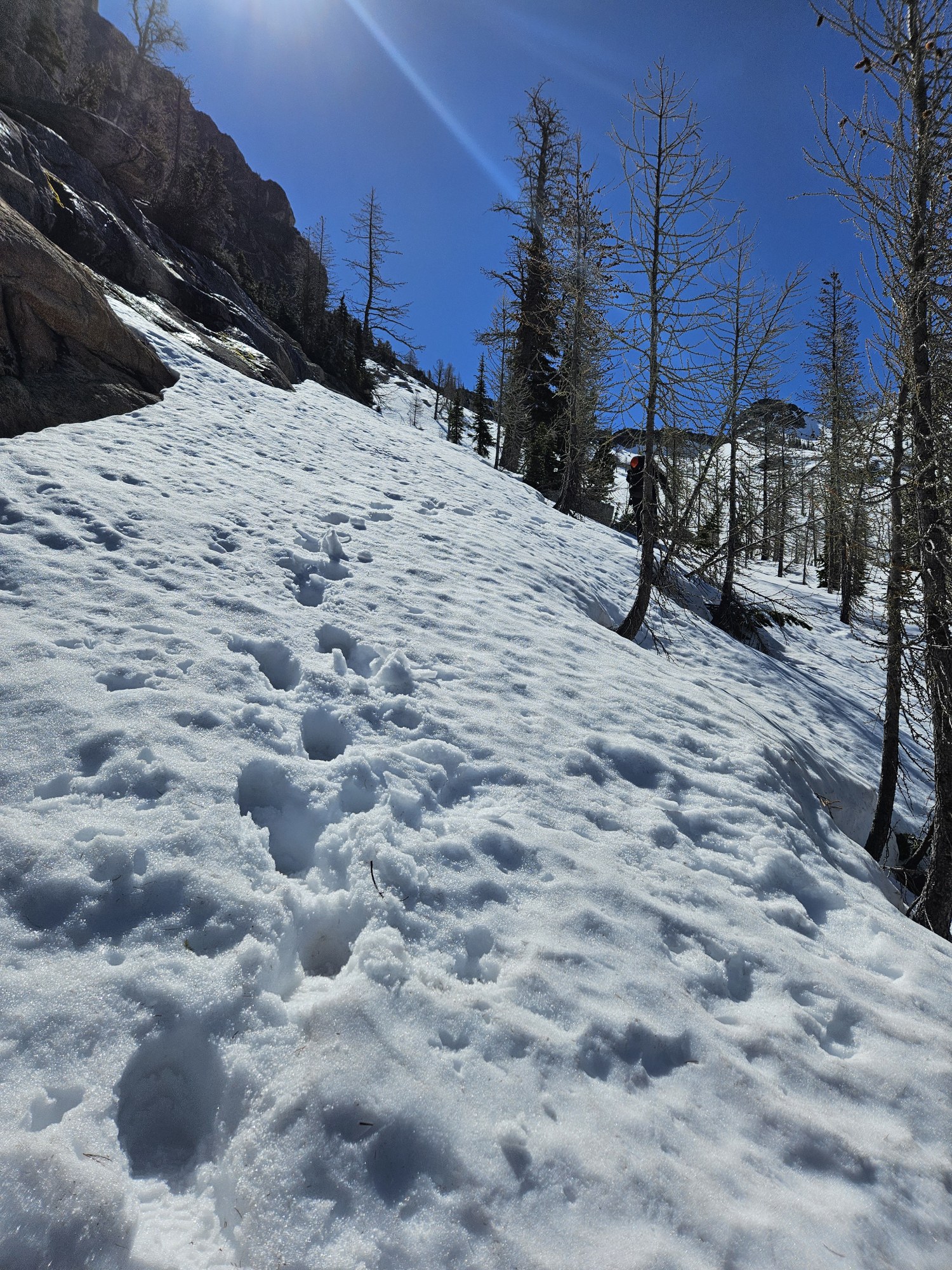 20240608_100845 vertical.jpeg